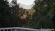 Photo - 837 Nobbys Creek Road, Nobbys Creek NSW 2484 - Image 6