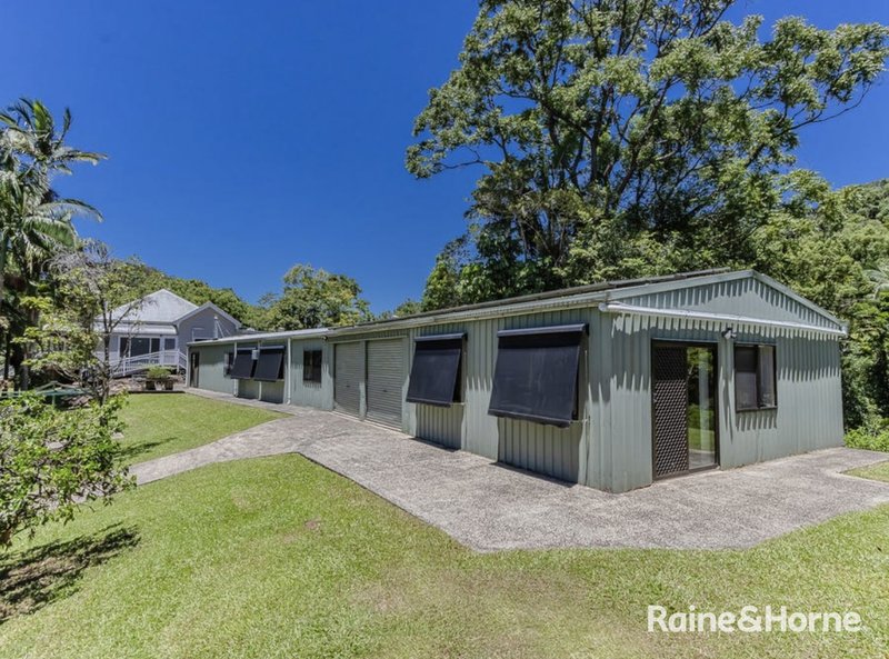 Photo - 837 Nobbys Creek Road, Nobbys Creek NSW 2484 - Image 15