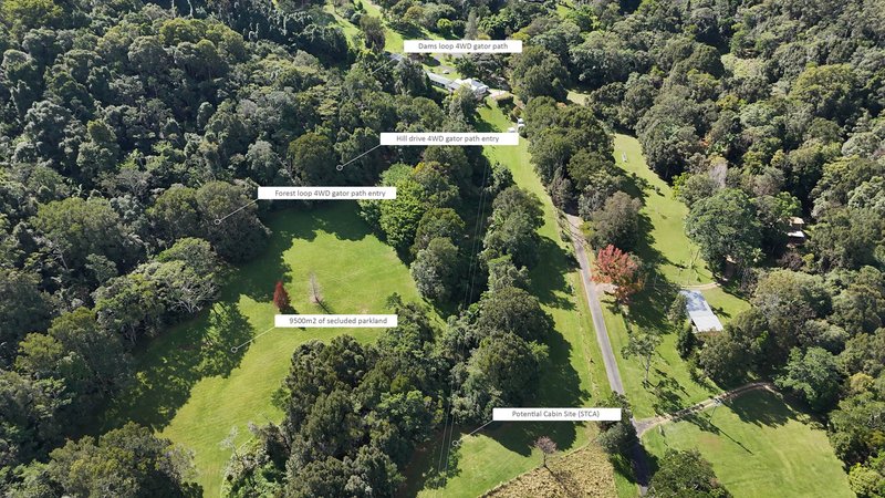 Photo - 837 Nobbys Creek Road, Nobbys Creek NSW 2484 - Image 20