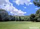 Photo - 837 Nobbys Creek Road, Nobbys Creek NSW 2484 - Image 22