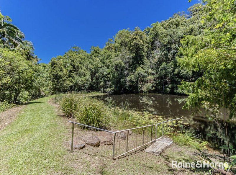 Photo - 837 Nobbys Creek Road, Nobbys Creek NSW 2484 - Image 24