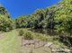 Photo - 837 Nobbys Creek Road, Nobbys Creek NSW 2484 - Image 24