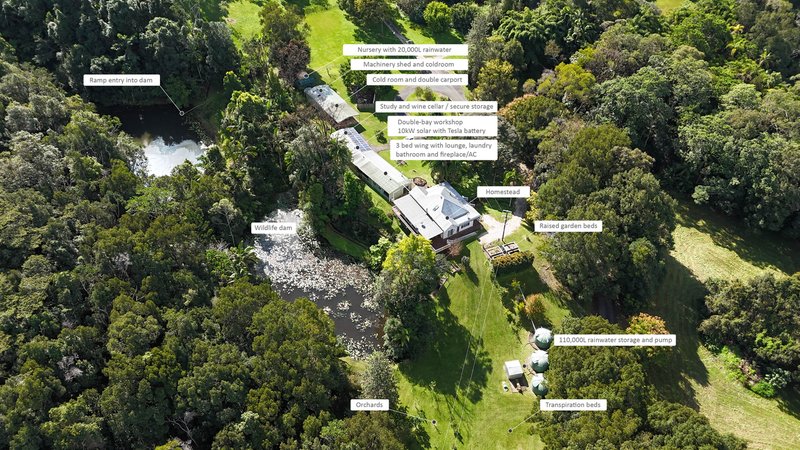 Photo - 837 Nobbys Creek Road, Nobbys Creek NSW 2484 - Image 26
