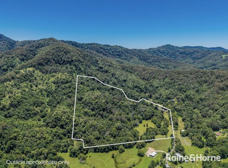 Photo - 837 Nobbys Creek Road, Nobbys Creek NSW 2484 - Image 27