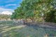 Photo - 838 Wallaville-Goondoon , Delan QLD 4671 - Image 21
