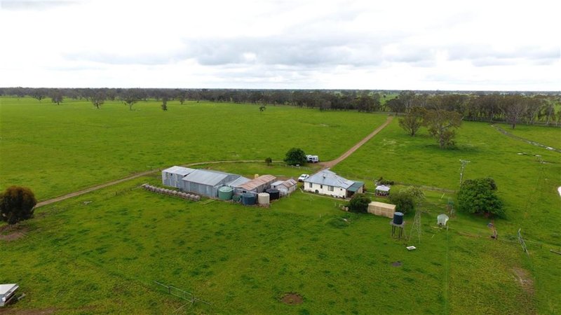 Photo - 839 Wimmera Highway, Edenhope VIC 3318 - Image 14