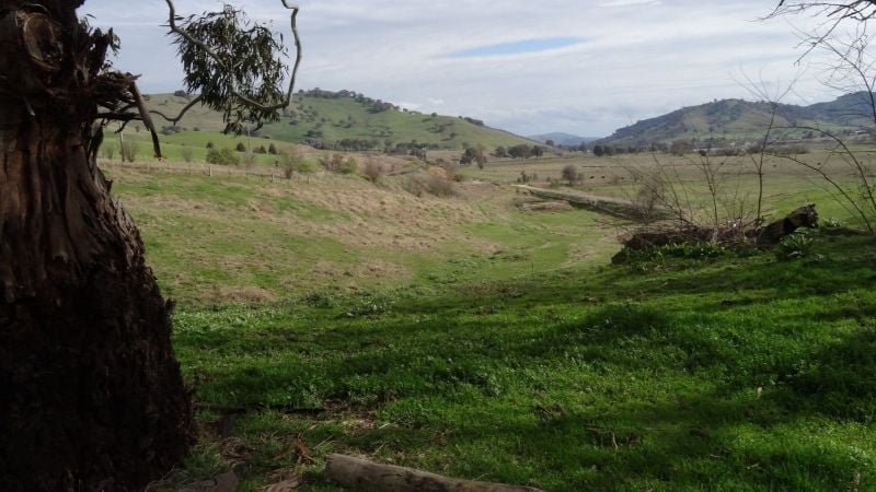 Photo - 8398 Murray Valley Highway, Tallangatta East VIC 3700 - Image 7