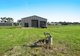 Photo - 84-86 Jacob Drive, Rosenthal Heights QLD 4370 - Image 6