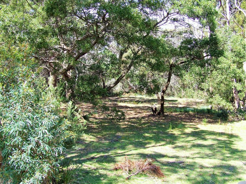 Photo - 84-86 North Ansons Road, Ansons Bay TAS 7264 - Image 7