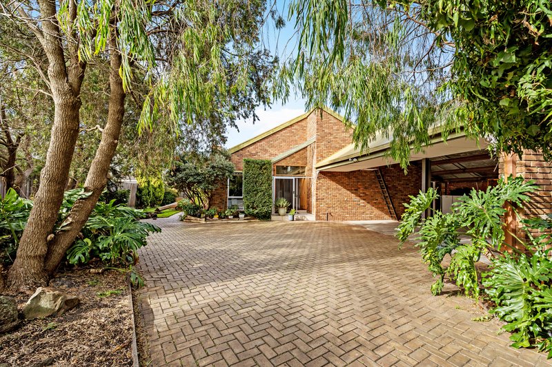 84 Albenca Street, Cheltenham VIC 3192