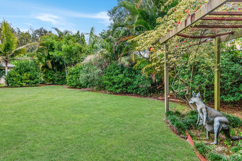 Photo - 84 Allan Avenue, Glass House Mountains QLD 4518 - Image 22