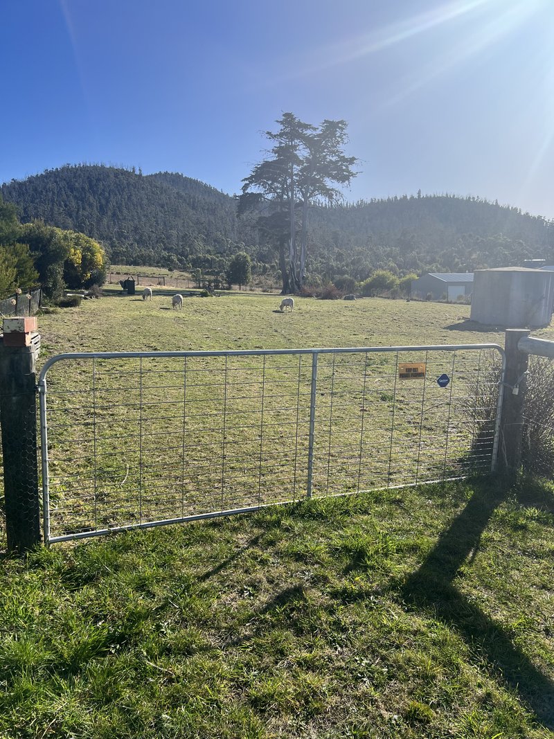 Photo - 84 Arthur Highway, Dunalley TAS 7177 - Image 12