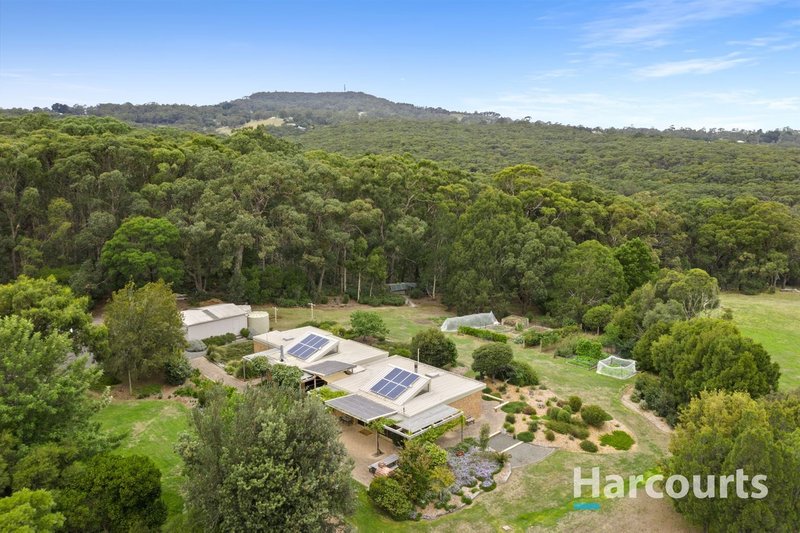 Photo - 84 Hendersons Lane, Buninyong VIC 3357 - Image 1