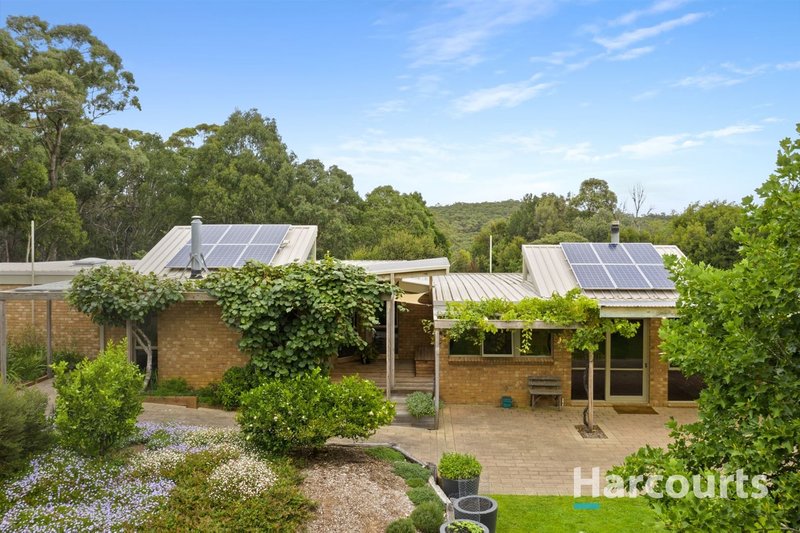 Photo - 84 Hendersons Lane, Buninyong VIC 3357 - Image 4