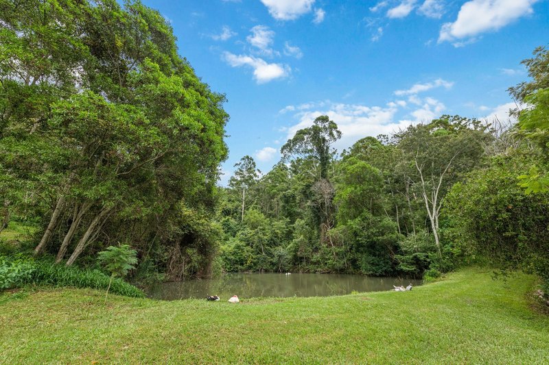 Photo - 84 Isaacs Lane, Johns River NSW 2443 - Image 6