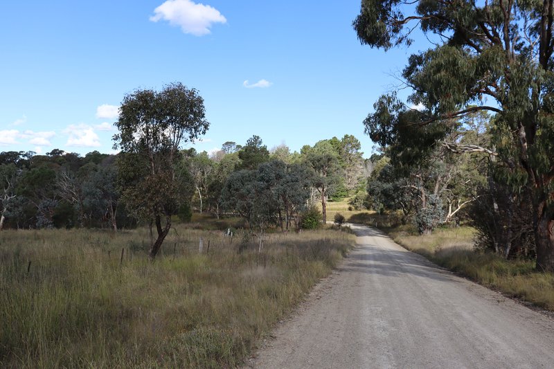 Photo - 84 Quartz Gully Road, Uralla NSW 2358 - Image 3