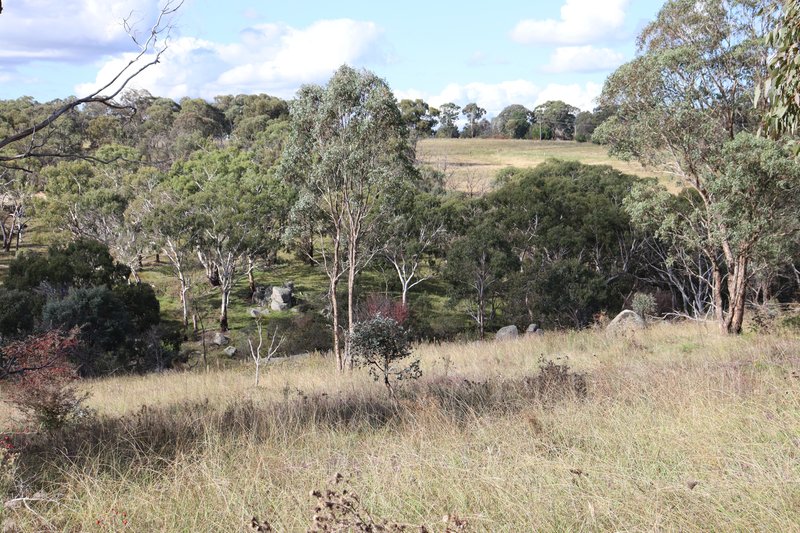 Photo - 84 Quartz Gully Road, Uralla NSW 2358 - Image 4