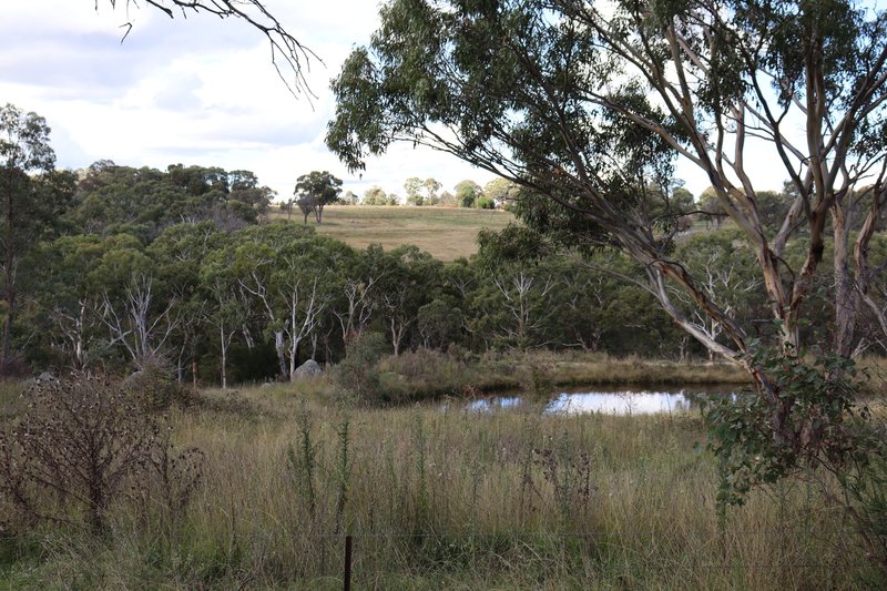 Photo - 84 Quartz Gully Road, Uralla NSW 2358 - Image 5