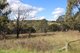 Photo - 84 Quartz Gully Road, Uralla NSW 2358 - Image 6