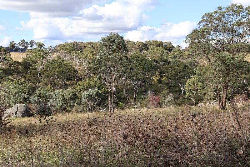 Photo - 84 Quartz Gully Road, Uralla NSW 2358 - Image 7