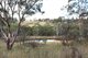 Photo - 84 Quartz Gully Road, Uralla NSW 2358 - Image 8