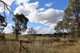 Photo - 84 Quartz Gully Road, Uralla NSW 2358 - Image 10