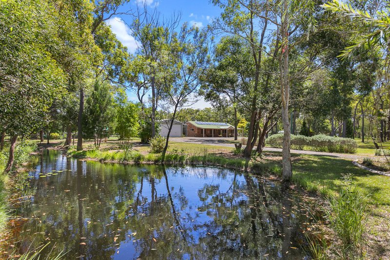 Photo - 84 Scanlan Street, Sunshine Acres QLD 4655 - Image 5