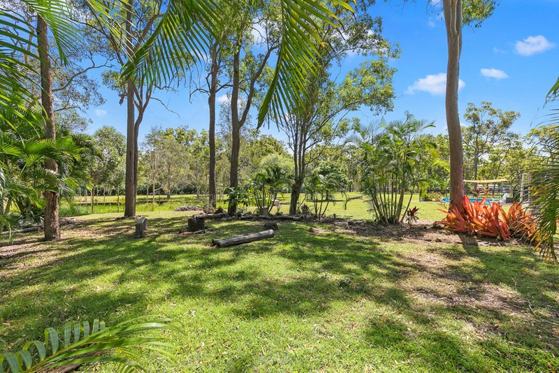 Photo - 84 Scanlan Street, Sunshine Acres QLD 4655 - Image 22