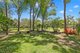 Photo - 84 Scanlan Street, Sunshine Acres QLD 4655 - Image 22