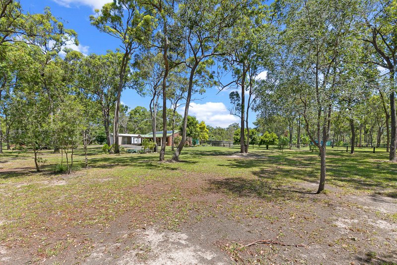 Photo - 84 Scanlan Street, Sunshine Acres QLD 4655 - Image 25