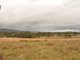 Photo - 84 Skyline Drive, Wingham NSW 2429 - Image 2