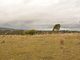 Photo - 84 Skyline Drive, Wingham NSW 2429 - Image 4