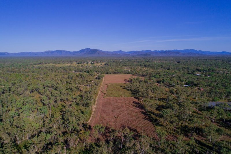 Photo - 84 Slayton Road, Jensen QLD 4818 - Image 3