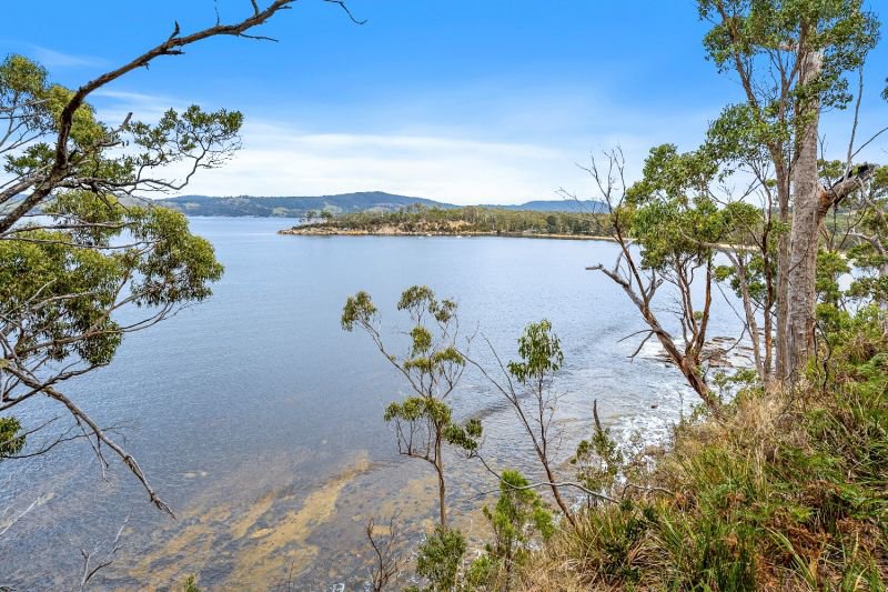 Photo - 84 Williams Road, Randalls Bay TAS 7112 - Image 24