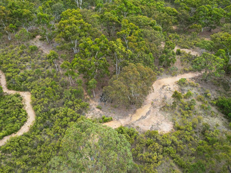 Photo - 840 Marked Tree Road, Gundaroo NSW 2620 - Image 19