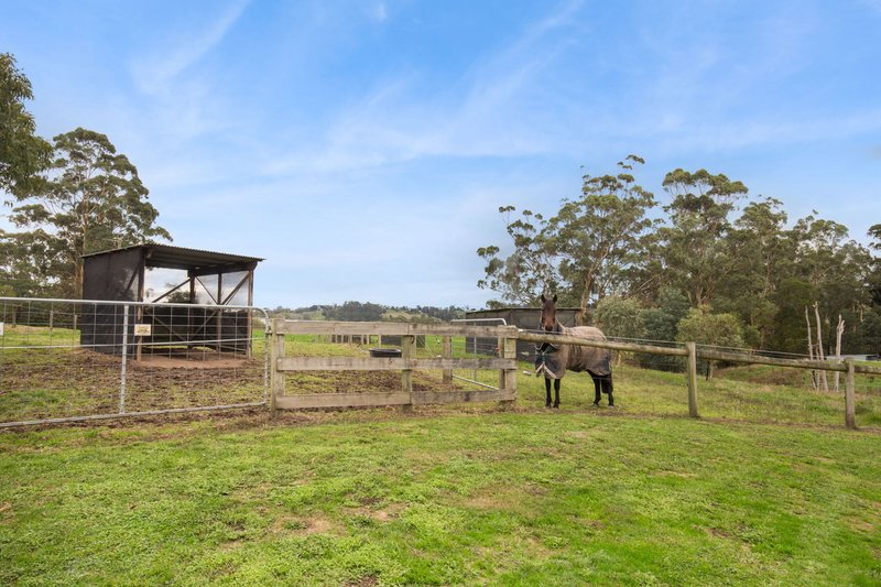 Photo - 840 Soldiers Road, Poowong VIC 3988 - Image 23