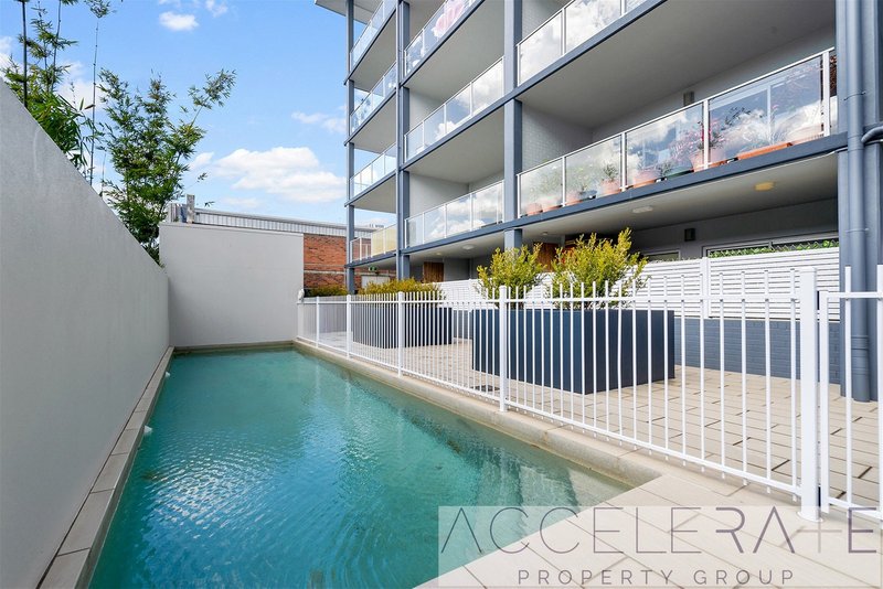 Photo - 8/41 Fortescue Street, Spring Hill QLD 4000 - Image 2