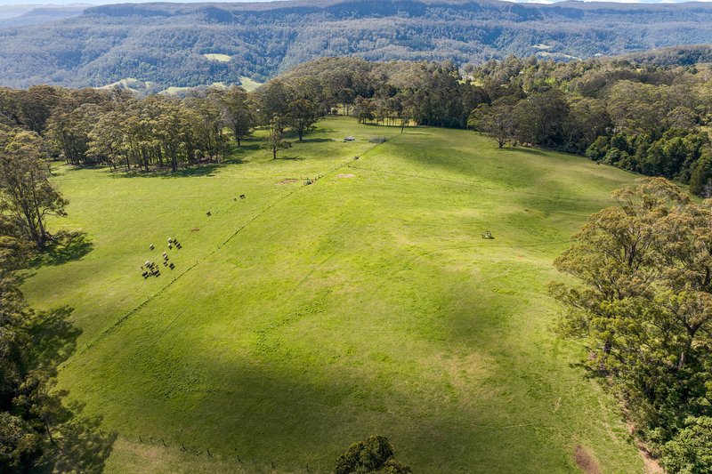 Photo - 844c Kangaroo Valley Road, Bellawongarah NSW 2535 - Image 3