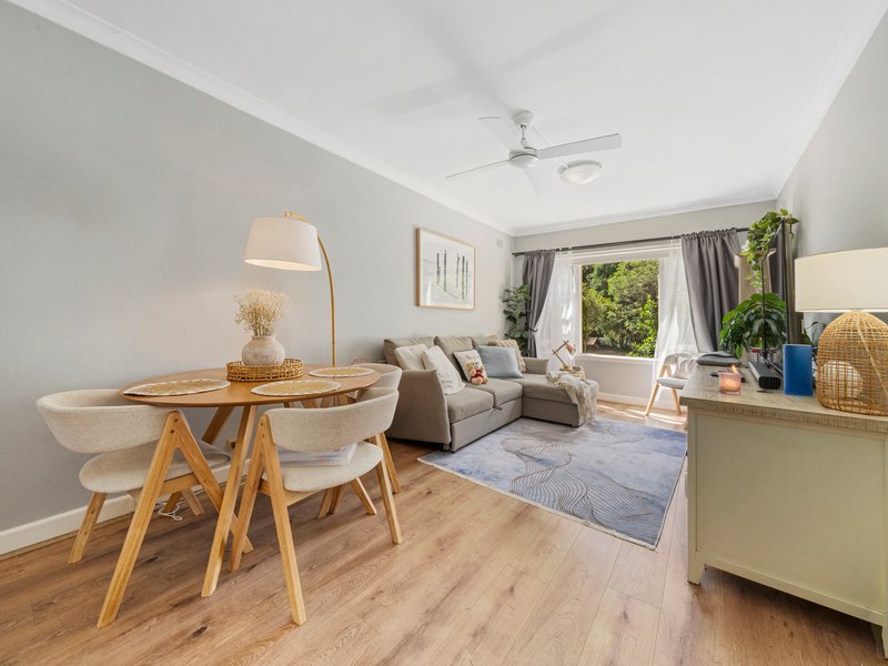 Photo - 8/46 Alt Street, Ashfield NSW 2131 - Image 1