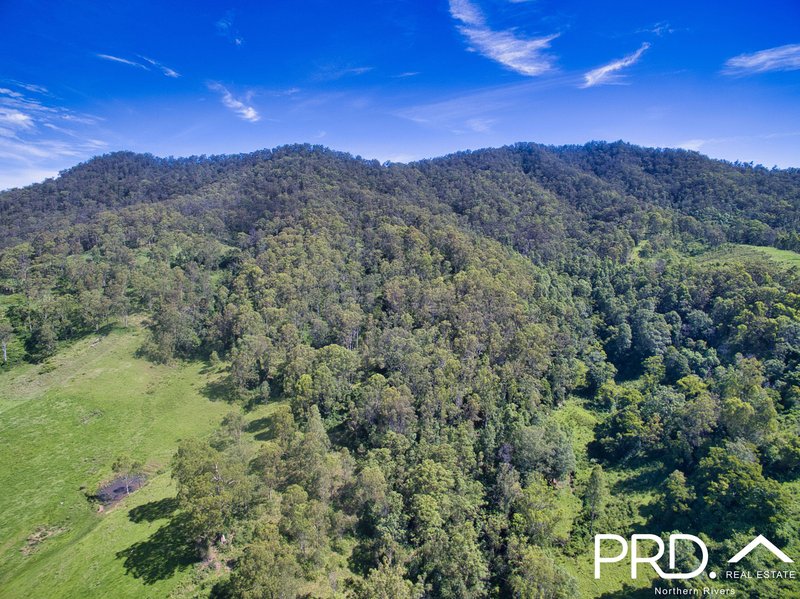 849 Eden Creek Road, Upper Eden Creek , Kyogle NSW 2474