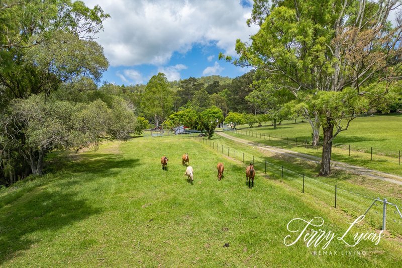 Photo - 85-101 F Lindsay Road, Rocksberg QLD 4510 - Image 4