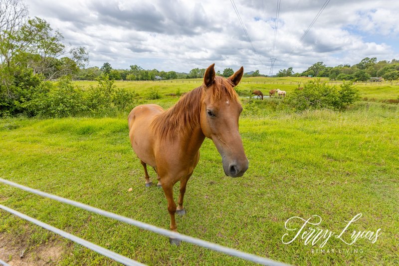 Photo - 85-101 F Lindsay Road, Rocksberg QLD 4510 - Image 6