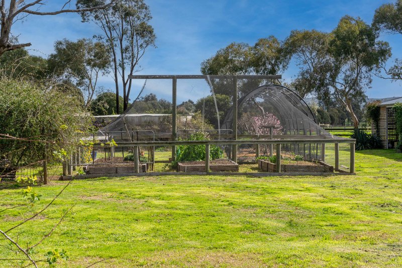 Photo - 85 Ashes Bridge Road, Tallarook VIC 3659 - Image 22