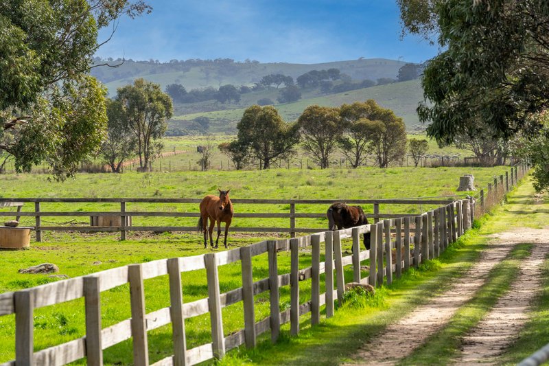 Photo - 85 Ashes Bridge Road, Tallarook VIC 3659 - Image 28