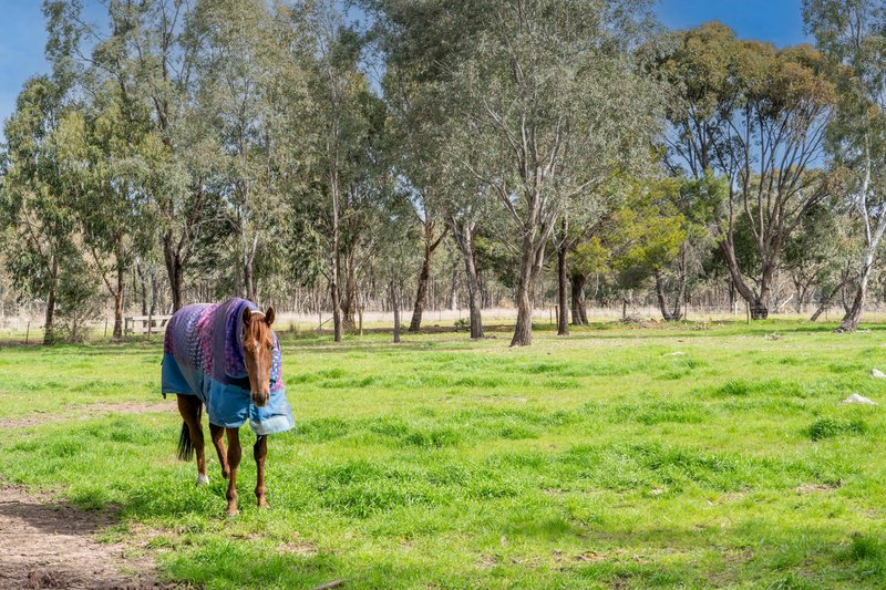 Photo - 85 Ashes Bridge Road, Tallarook VIC 3659 - Image 29