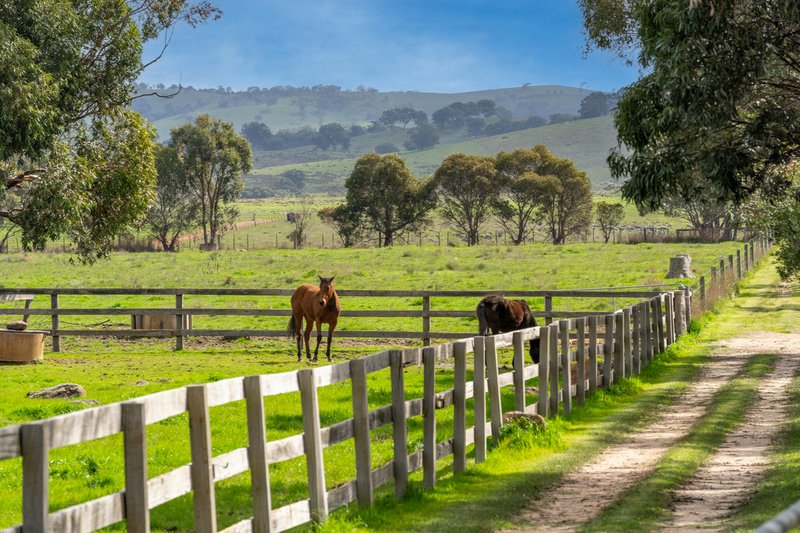 Photo - 85 Ashes Bridge Road, Tallarook VIC 3659 - Image 26