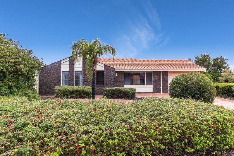 85 Goldsmith Road, Spearwood WA 6163