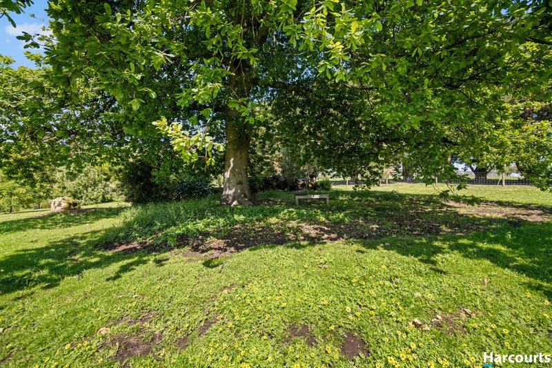 Photo - 85 Hughes Road, Nerrena VIC 3953 - Image 33