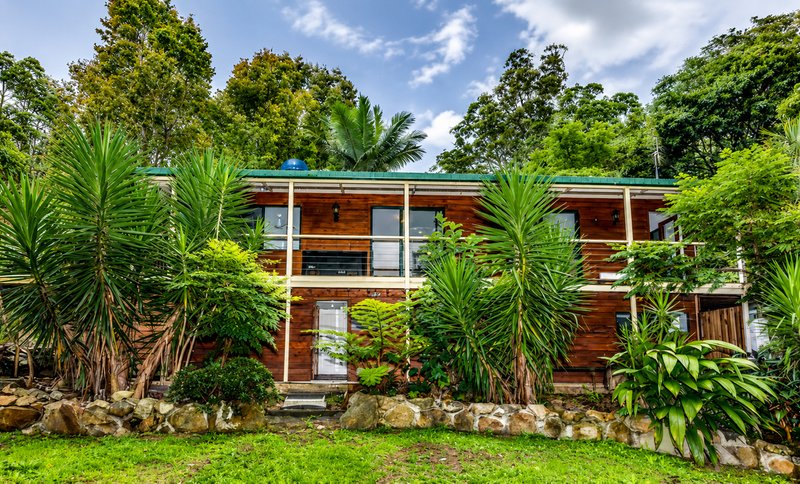 Photo - 85 Kinabalu Drive, Tamborine Mountain QLD 4272 - Image 1