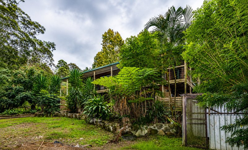 Photo - 85 Kinabalu Drive, Tamborine Mountain QLD 4272 - Image 10